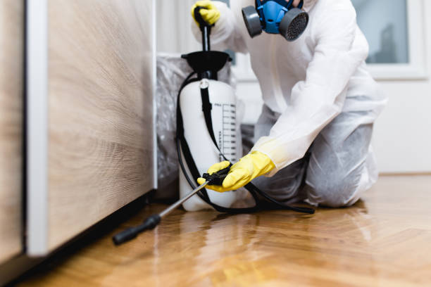 Professional Pest Control in Dade City, FL