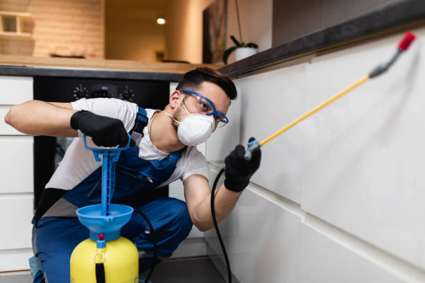 Best Pest Control Near Me  in Dade City, FL