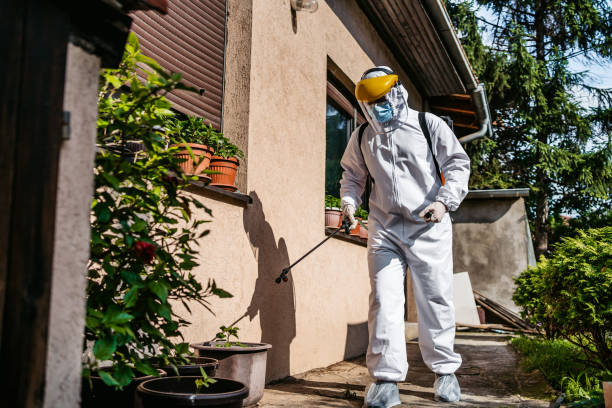Best Local Pest Control Services  in Dade City, FL