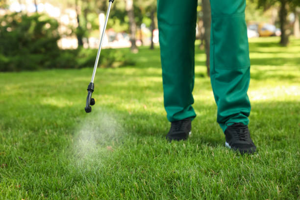 Flea Control Services in Dade City, FL