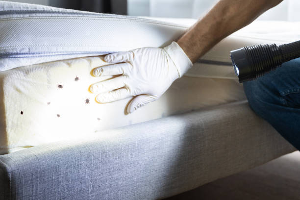 Best Commercial Pest Control Services  in Dade City, FL