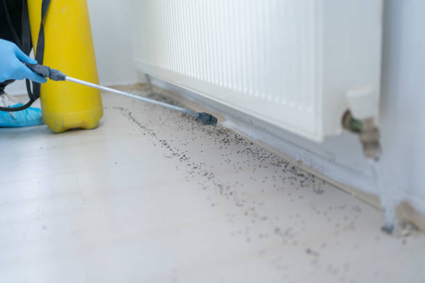 Best Residential Pest Control  in Dade City, FL