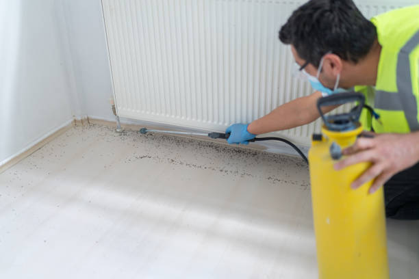 Best Cockroach Control Services  in Dade City, FL